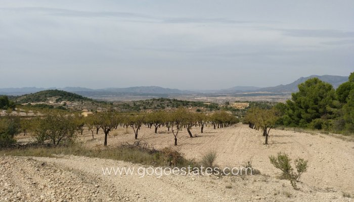Parcela - Terreno - Venta - Murcia - Abanilla Centro