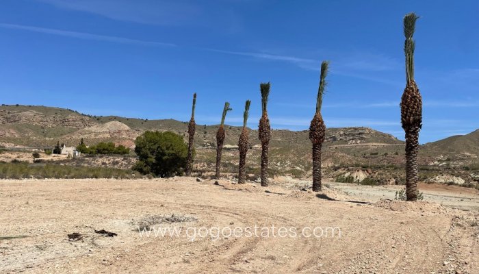 Parcela - Terreno - Venta - Murcia - Abanilla Centro