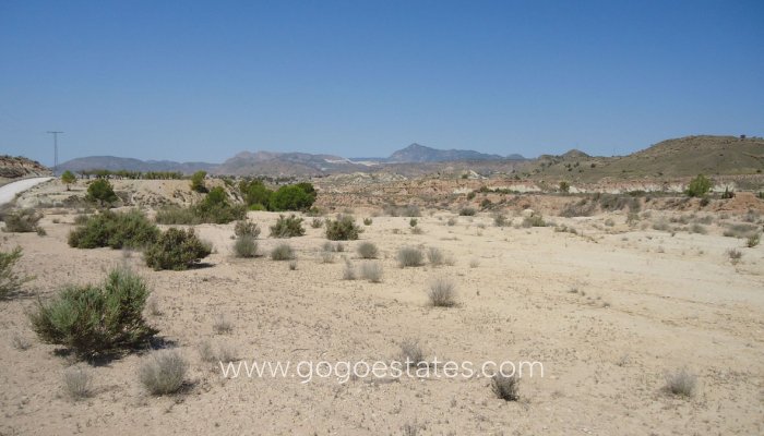 Parcela - Terreno - Venta - Murcia - Abanilla Centro