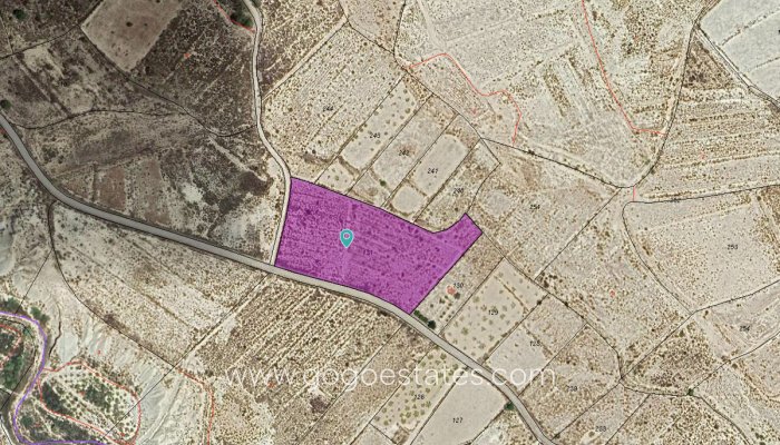 Parcela - Terreno - Venta - Murcia - Abanilla Centro