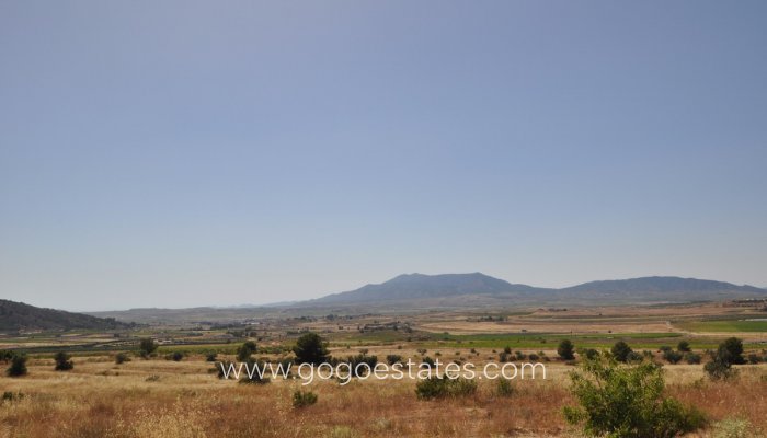 Parcela - Terreno - Venta - Pinoso - Pinoso Centro