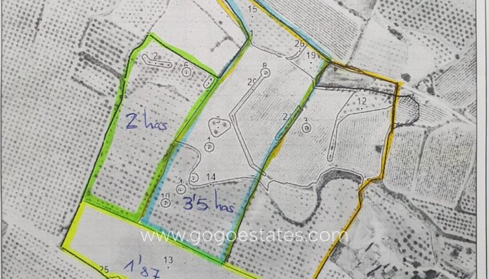 Parcela - Terreno - Venta - Pinoso - Pinoso Centro