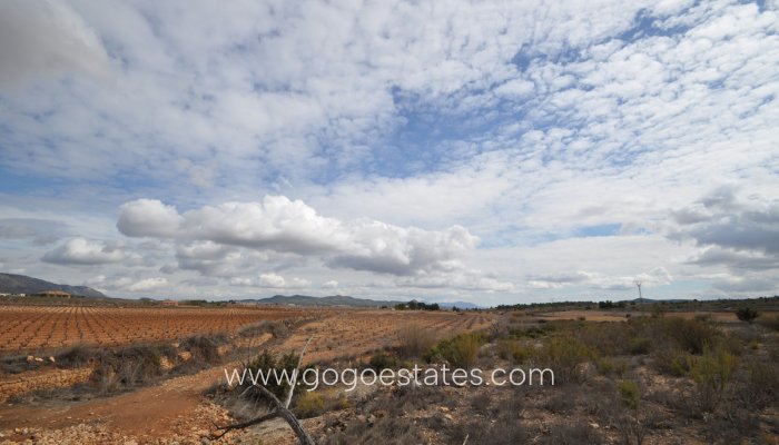 Parcela - Terreno - Venta - Pinoso - Pinoso Centro