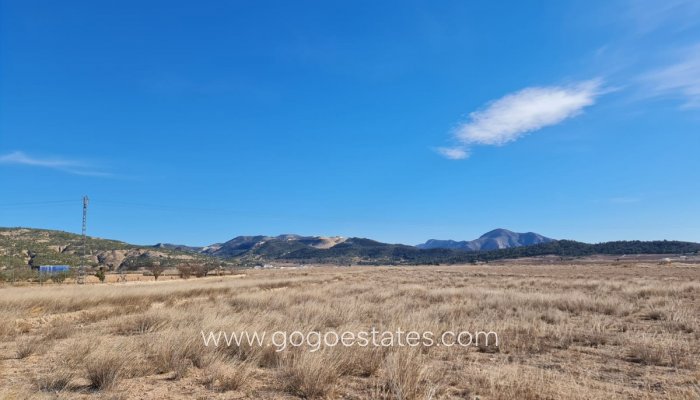 Parcela - Terreno - Venta - Pinoso - Pinoso Centro