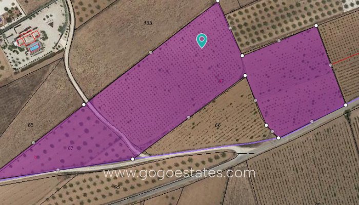 Parcela - Terreno - Venta - Pinoso - Pinoso Centro