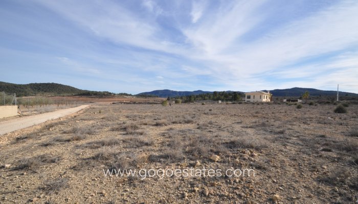 Parcela - Terreno - Venta - Pinoso - Pinoso Centro