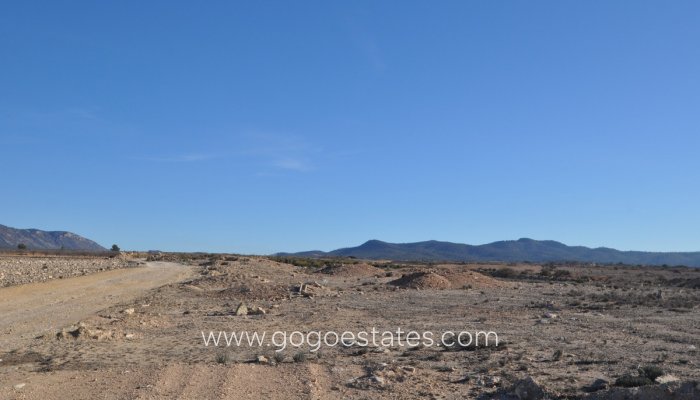 Parcela - Terreno - Venta - Pinoso - Pinoso Centro