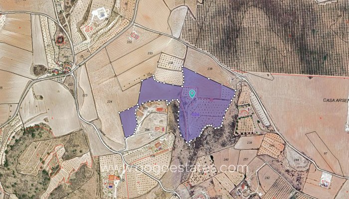 Parcela - Terreno - Venta - Pinoso - Pinoso Centro