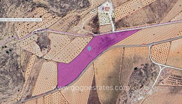 Parcela - Terreno - Venta - Pinoso - Pinoso Centro