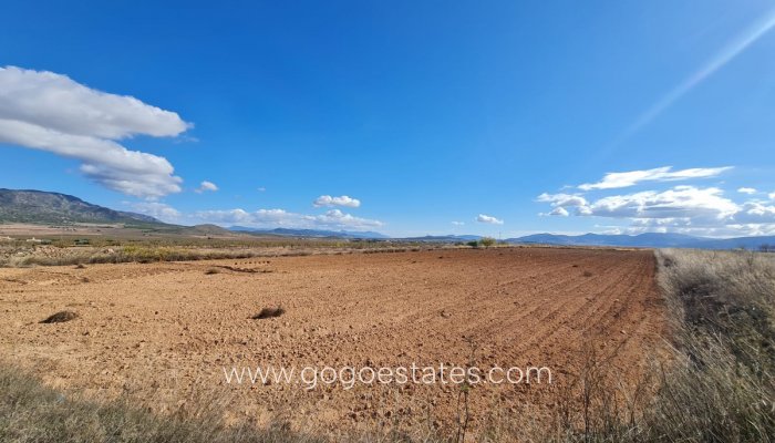 Parcela - Terreno - Venta - Yecla - Yecla Centro