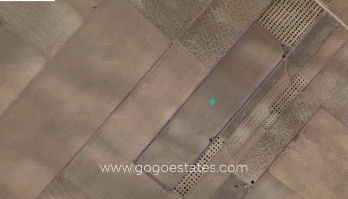 Parcela - Terreno - Venta - Yecla - Yecla Centro