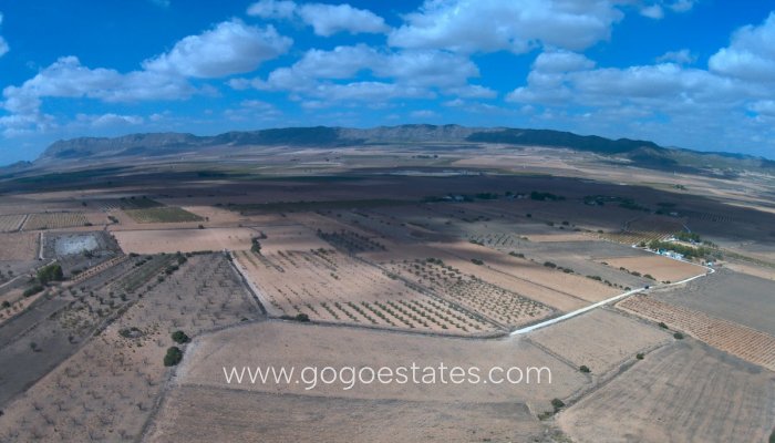 Parcela - Terreno - Venta - Yecla - Yecla Centro