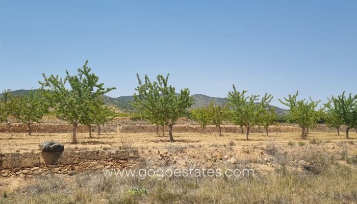 Parcela - Terreno - Venta - Yecla - Yecla Centro