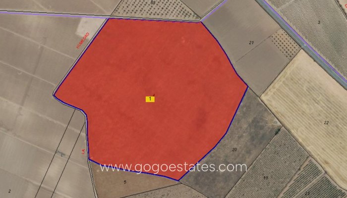 Parcela - Terreno - Venta - Yecla - Yecla Centro