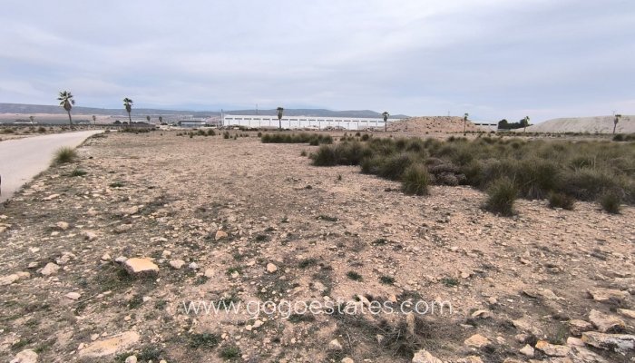 Parcela - Terreno - Venta - Yecla - Yecla Centro