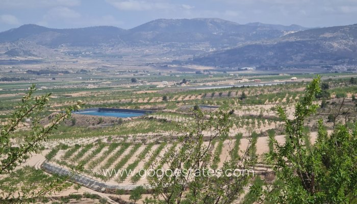 Parcela - Terreno - Venta - Yecla - Yecla Centro