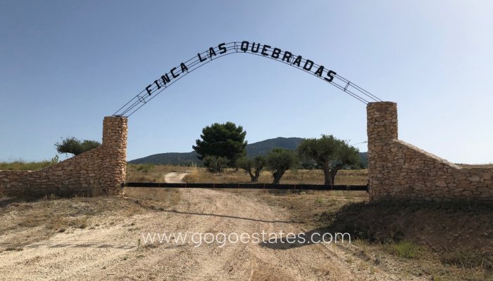 Parcela - Terreno - Venta - Yecla - Yecla Centro