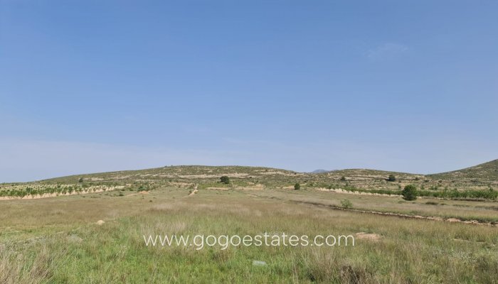 Parcela - Venta - Jumilla - Jumilla Centro