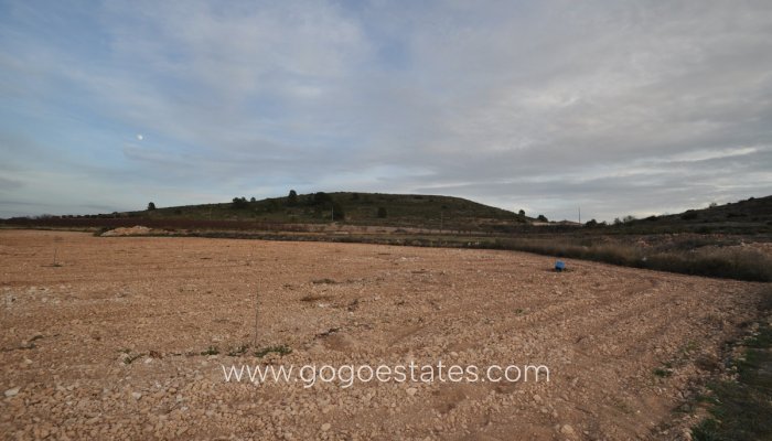 Parcela - Wiederverkauf - Jumilla - Cañada del Trigo