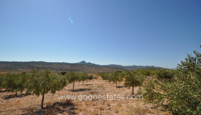 Parcela - Wiederverkauf - Murcia - Macisvenda