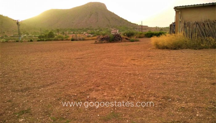 Perceel - Land - Te koop - Aspe - Aspe Centro