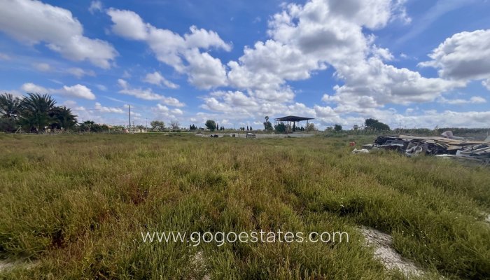 Perceel - Land - Te koop - Catral - Catral Centro