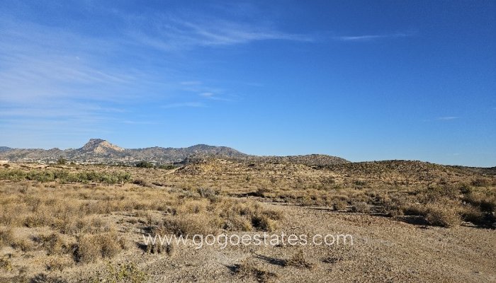 Perceel - Land - Te koop - Elda - Elda Centro