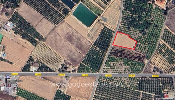 Perceel - Land - Te koop - Guardamar del Segura - Guardamar del Segura Centro