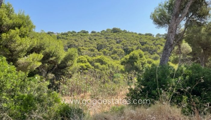 Perceel - Land - Te koop - Jávea Xàbia - Jávea - Xàbia Centro