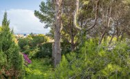 Perceel - Land - Te koop - Jávea Xàbia - RSO-74835