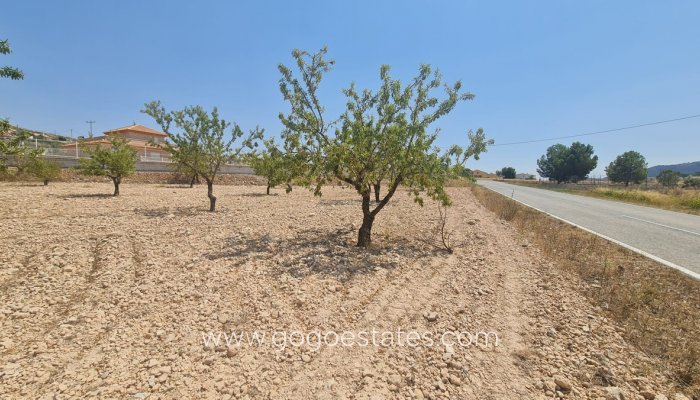 Perceel - Land - Te koop - Jumilla - Jumilla Centro