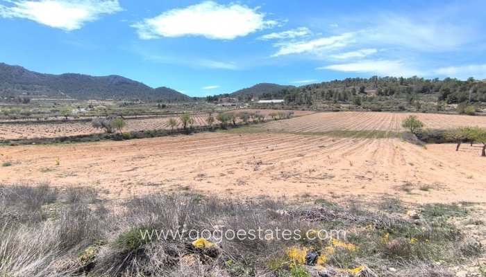 Perceel - Land - Te koop - Jumilla - La Zarza