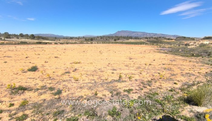 Perceel - Land - Te koop - Jumilla - La Zarza