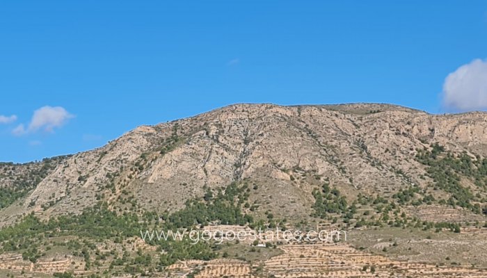 Perceel - Land - Te koop - La Romana - La Romana Centro