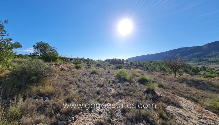 Perceel - Land - Te koop - La Romana - La Romana Centro