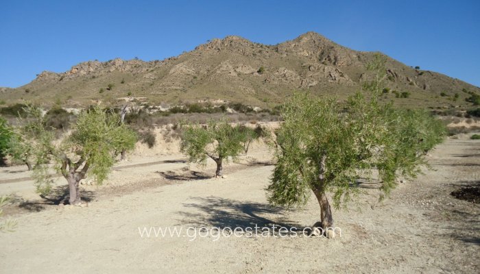 Perceel - Land - Te koop - Murcia - Abanilla Centro