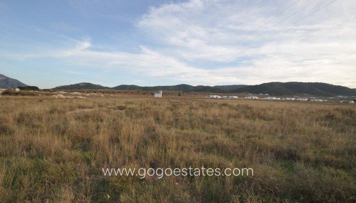 Perceel - Land - Te koop - Murcia - Cañada De La Leña