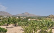 Perceel - Land - Te koop - Murcia - RSO-42705