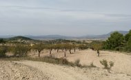 Perceel - Land - Te koop - Murcia - RSO-58139