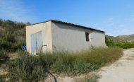 Perceel - Land - Te koop - Orihuela - RSO-58198