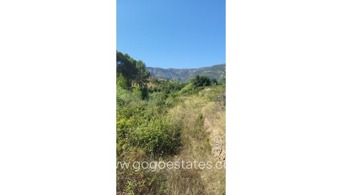 Perceel - Land - Te koop - Parcent - Parcent