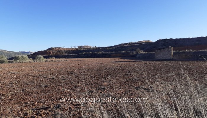 Perceel - Land - Te koop - Pinoso - Pinoso Centro