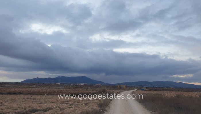 Perceel - Land - Te koop - Pinoso - Pinoso Centro