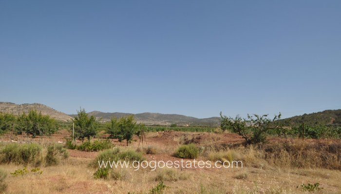 Perceel - Land - Te koop - Pinoso - Pinoso Centro