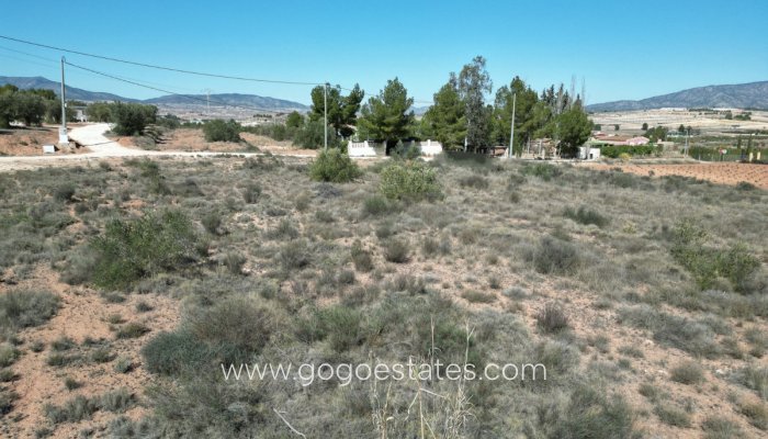 Perceel - Land - Te koop - Pinoso - Pinoso Centro