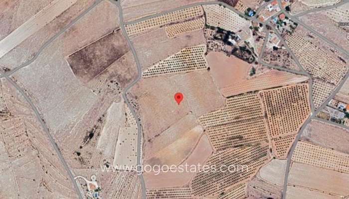 Perceel - Land - Te koop - Pinoso - Pinoso Centro