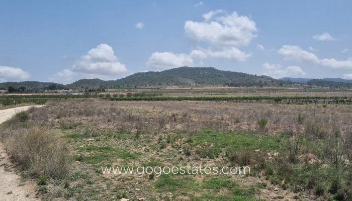 Perceel - Land - Te koop - Pinoso - Pinoso Centro