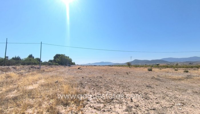 Perceel - Land - Te koop - Pinoso - Pinoso Centro