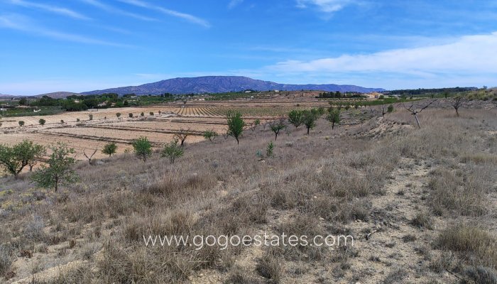 Perceel - Land - Te koop - Pinoso - Pinoso Centro
