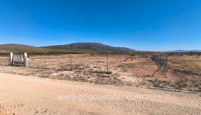 Perceel - Land - Te koop - Pinoso - Pinoso Centro